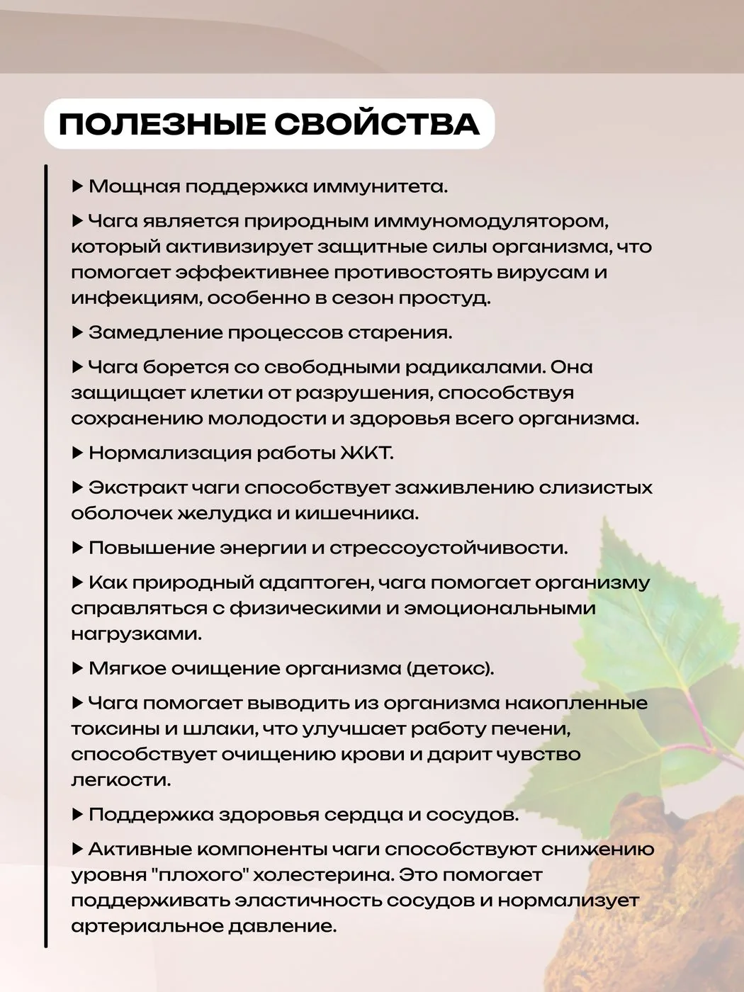 Чага в капсулах березовая 90 шт натуральная