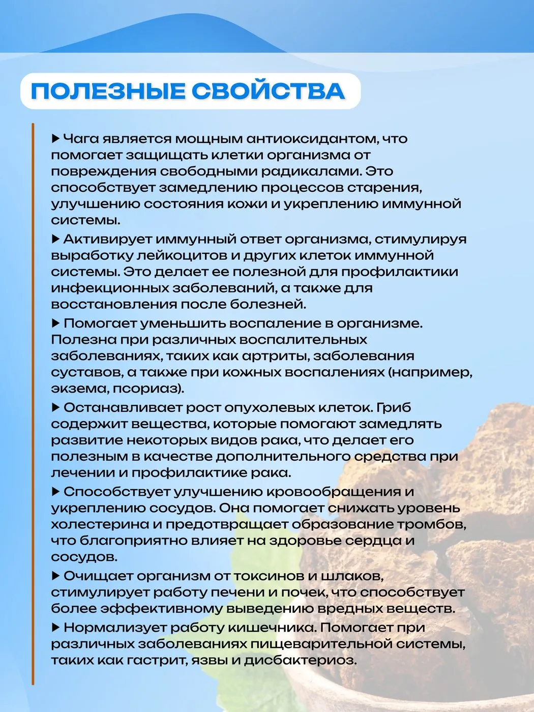 Чага березовая экстракт водный жидкий