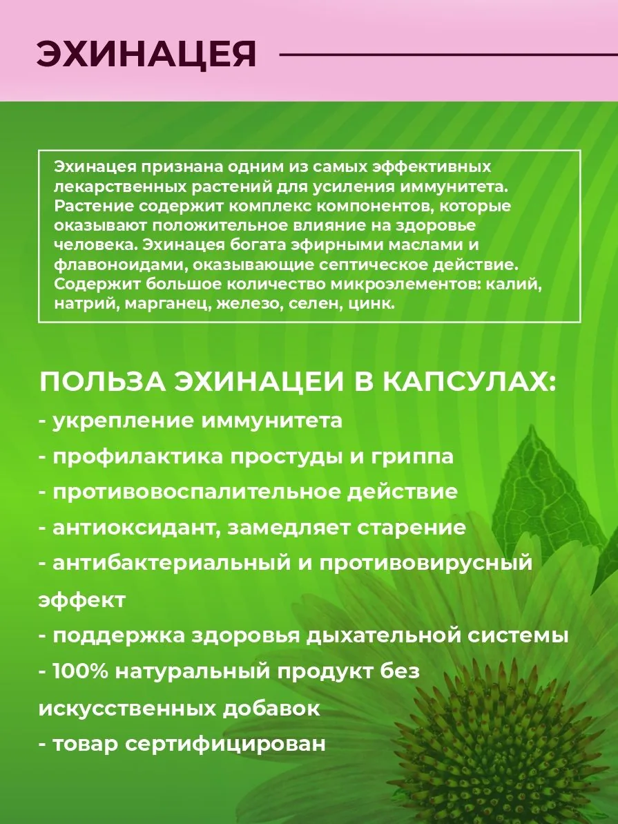 Эхинацея (90 капсул)