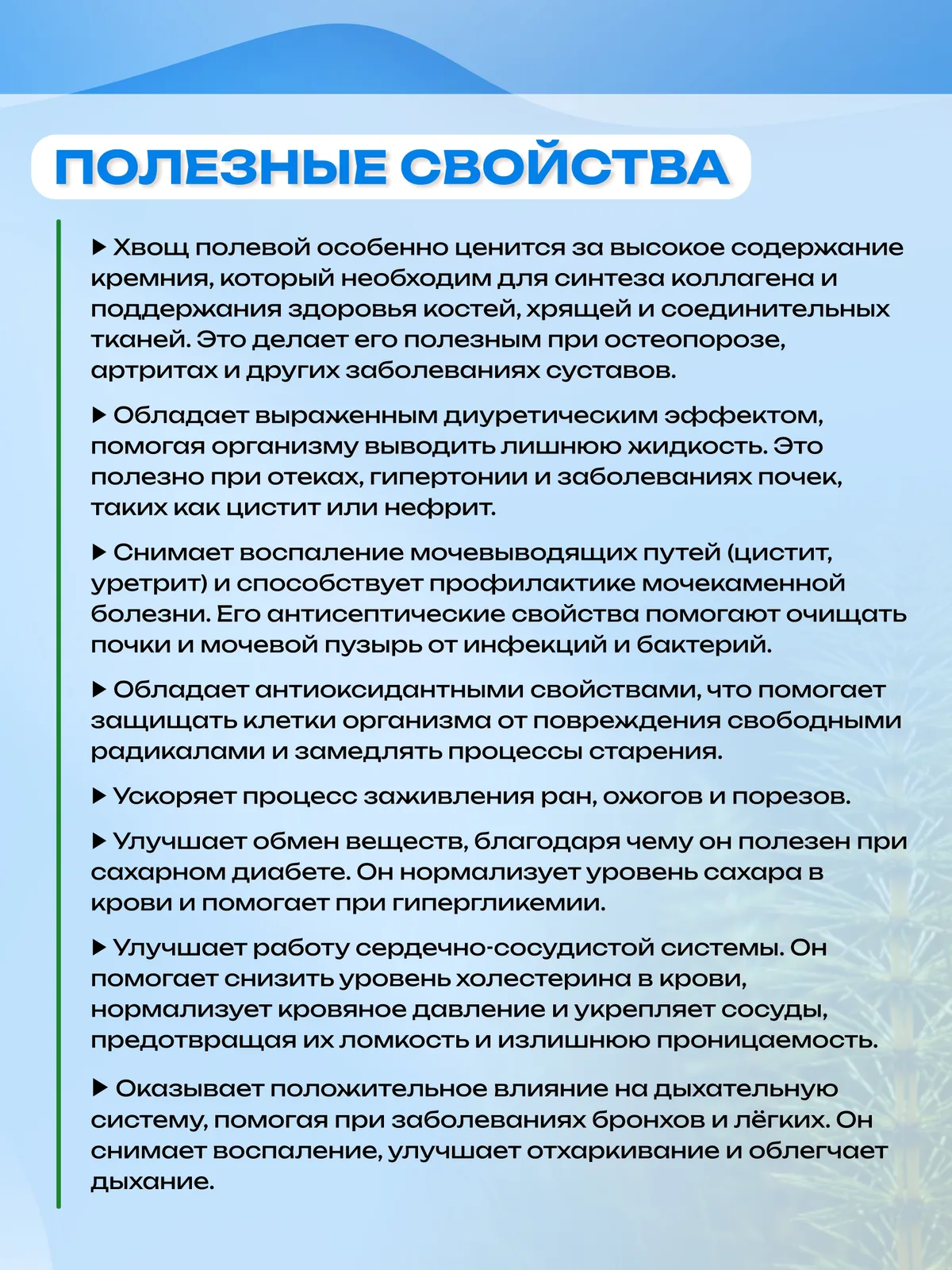 Хвощ полевой экстракт жидкий
