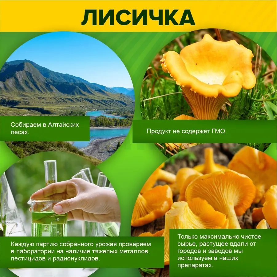Лисички сушеные грибы экстракт в капсулах (45/90 капсул)