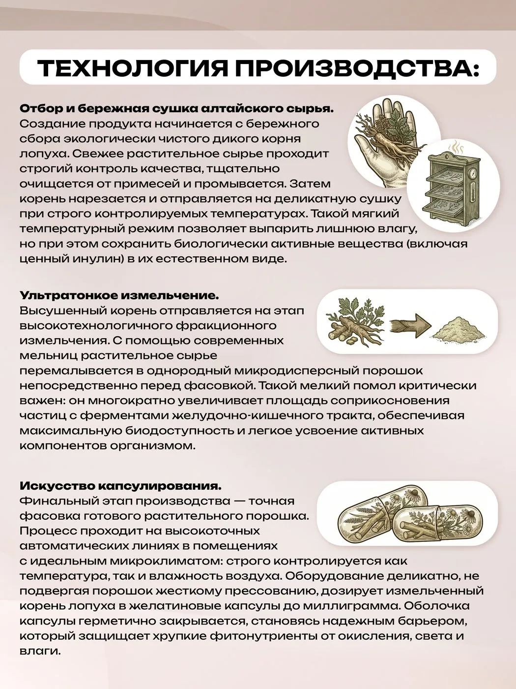 Корень лопуха натуральный (90 капсул)