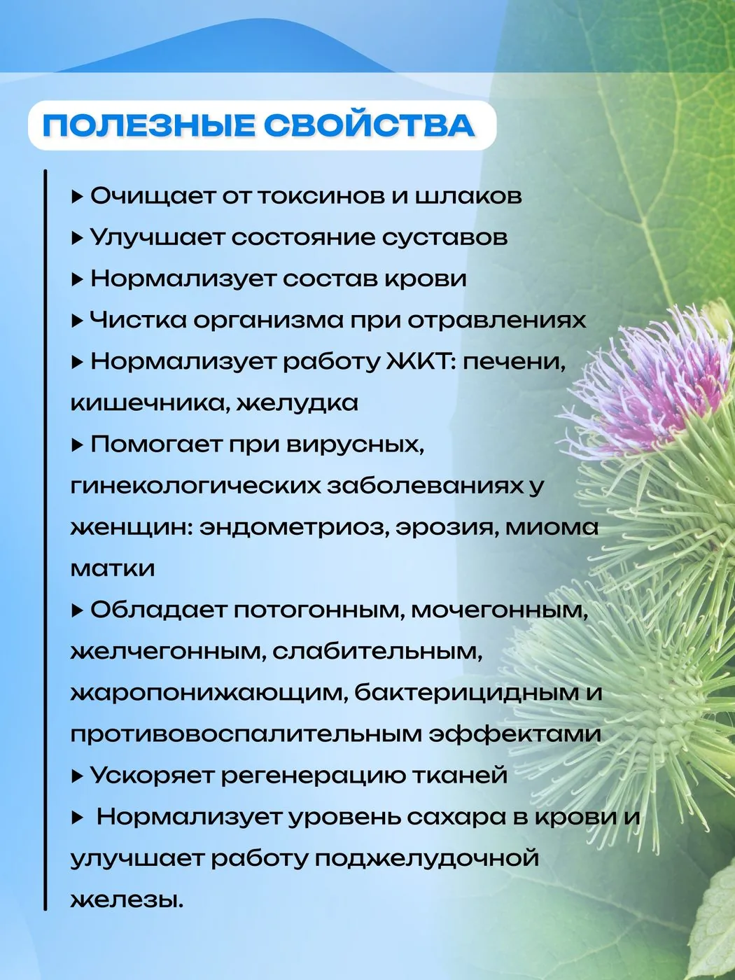 Корень лопуха экстракт жидкий