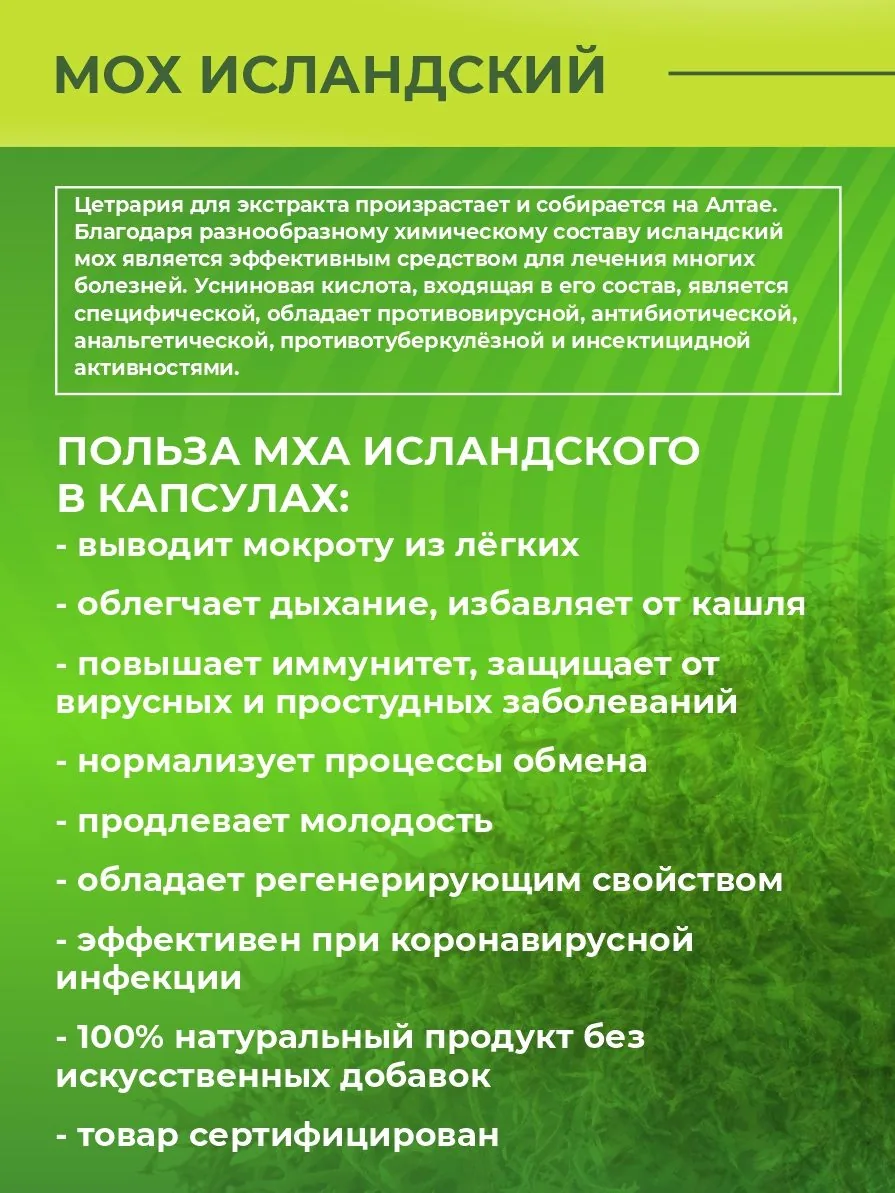 Мох исландский в капсулах