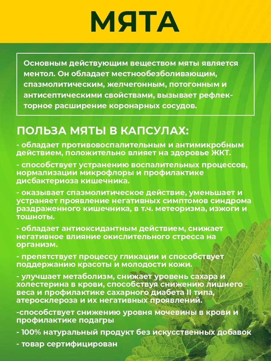 Мята сушеная в капсулах (90 капсул)