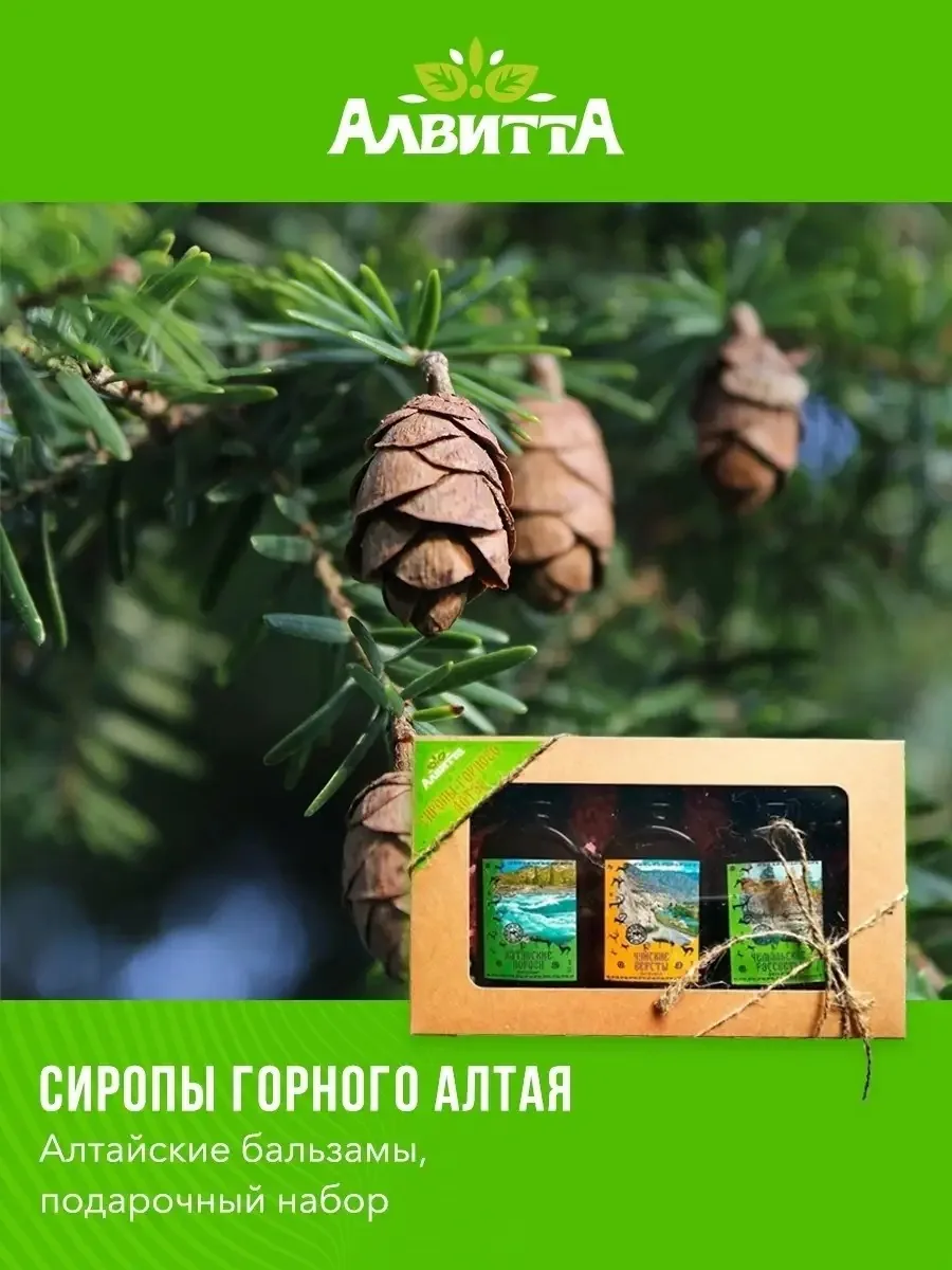 Подарочный набор Сиропы Горного Алтая 3х