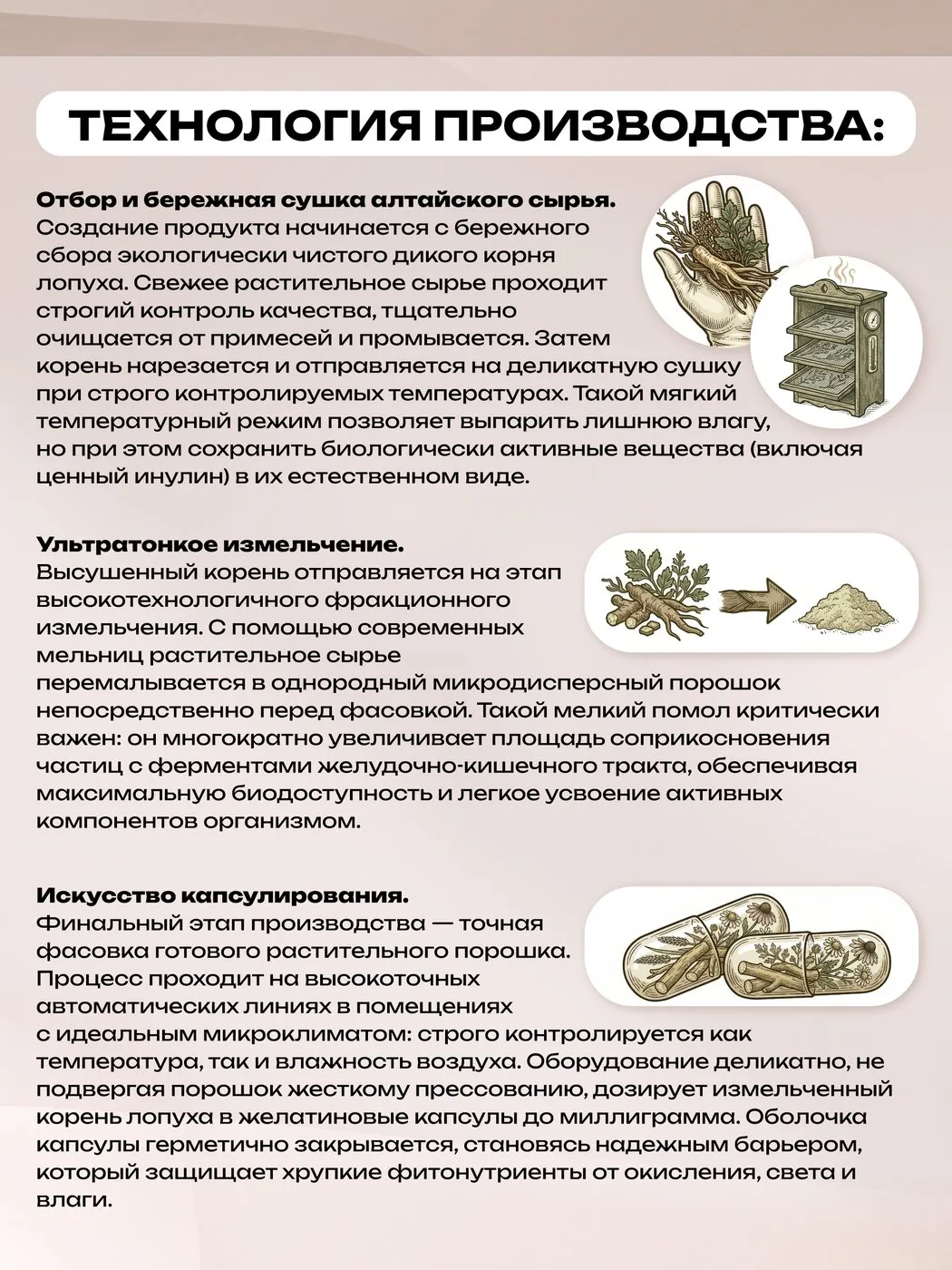 Кора осины в капсулах Алтай (90 капсул)