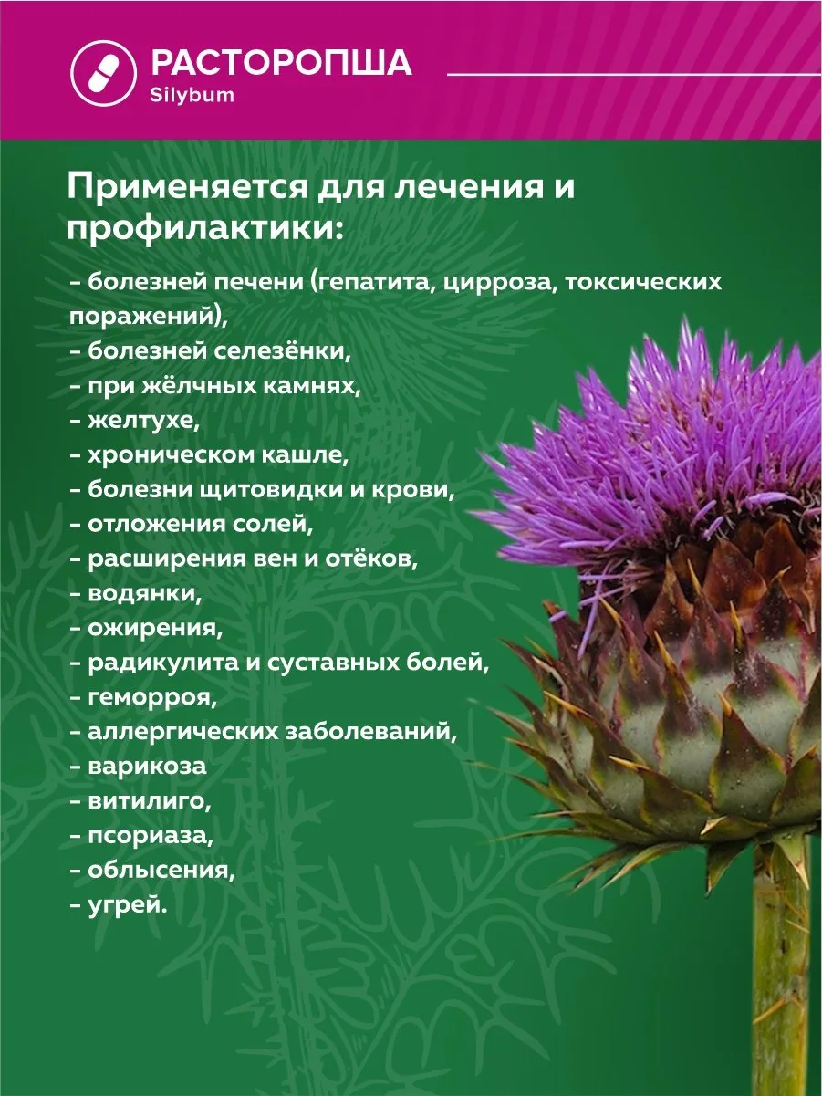 Расторопша 60 капсул экстракт