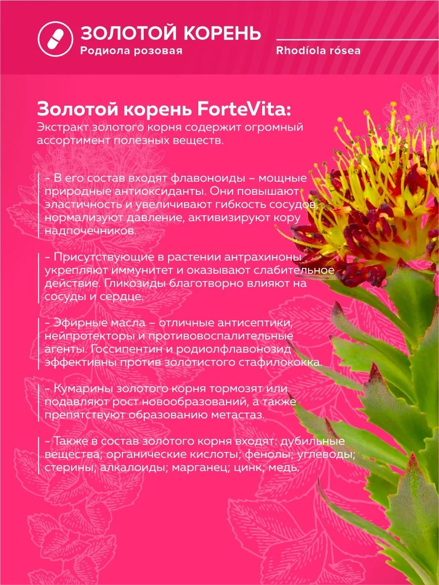 Родиола розовая Золотой корень экстракт (60 капсул)
