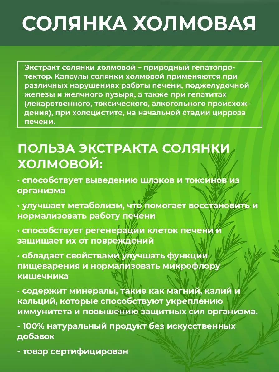 Солянка холмовая экстракт (45/90 капсул)
